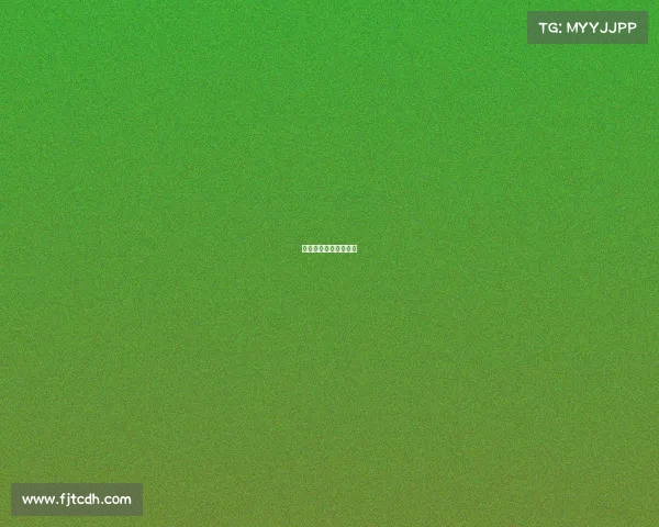 世界顶级综合格斗赛事 世界顶级综合格斗赛事